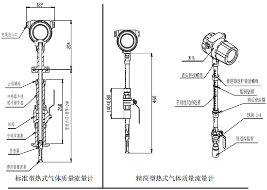 熱式高壓氣體質(zhì)量流量計(jì)插入式結(jié)構(gòu)圖