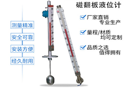 頂裝式磁翻板液位計